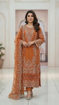 ELEGANT CHIFFON DRESS 1